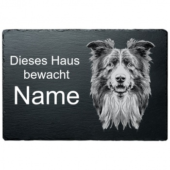 Schiefertafel Hund - Collie 